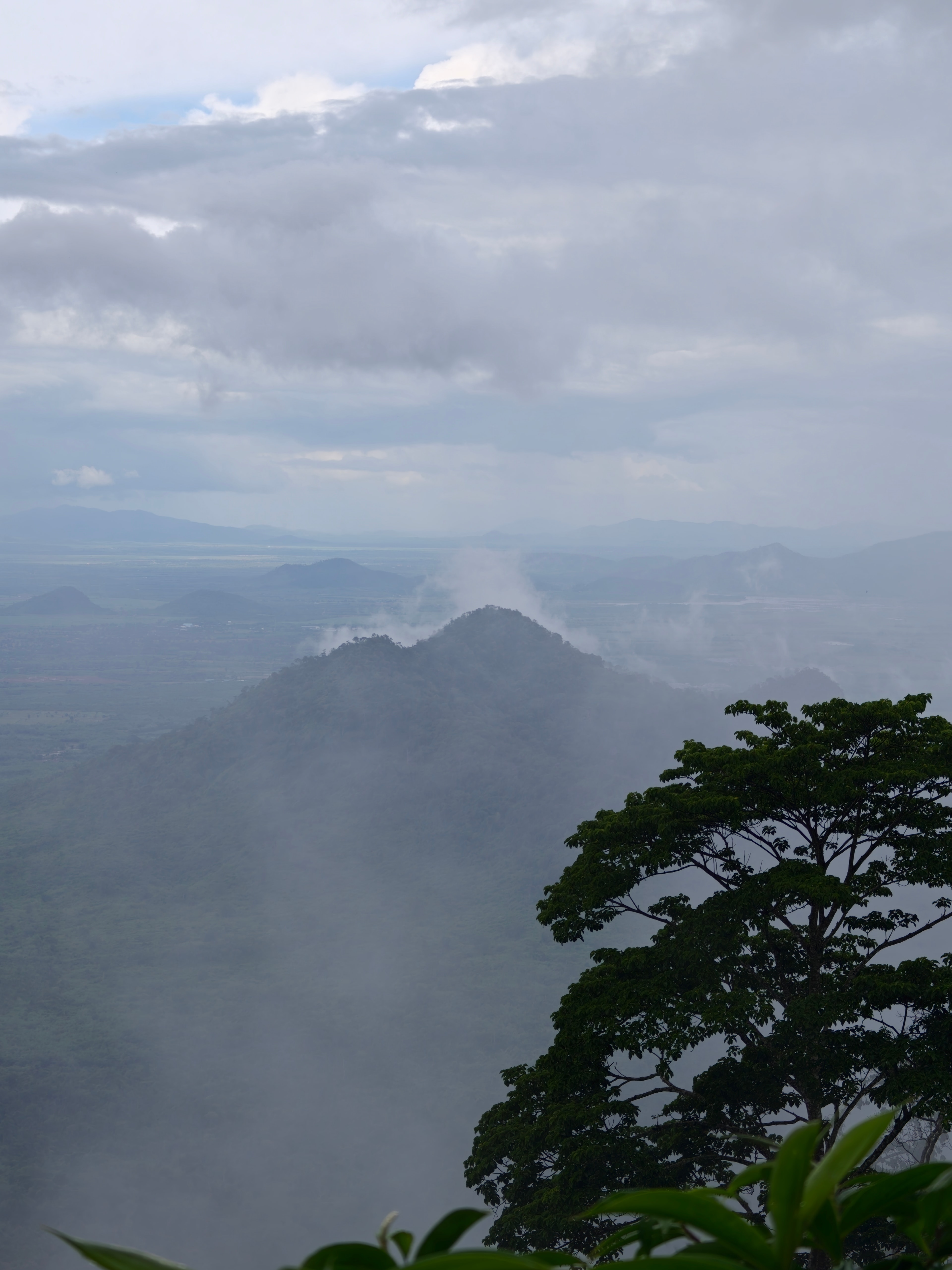 Jungle & Mountains