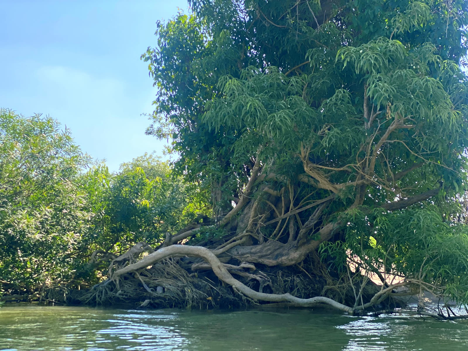 Rivers & Wetlands